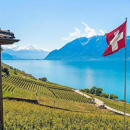 Lausanne Modern And Sunny Διαμέρισμα *