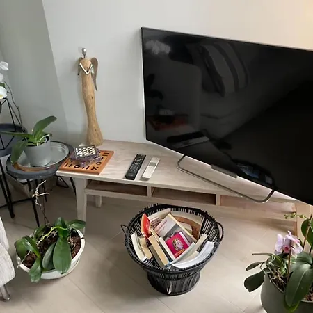 Pully Lakeside Street And Direct Bus To Train Station * Lausanne