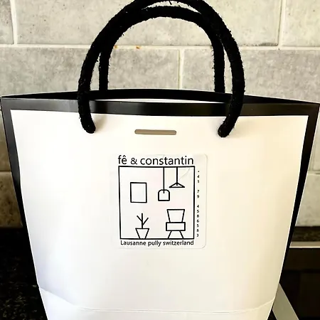 Pully Sky Lakeside Street&direct Bus To Train Station Appartement *