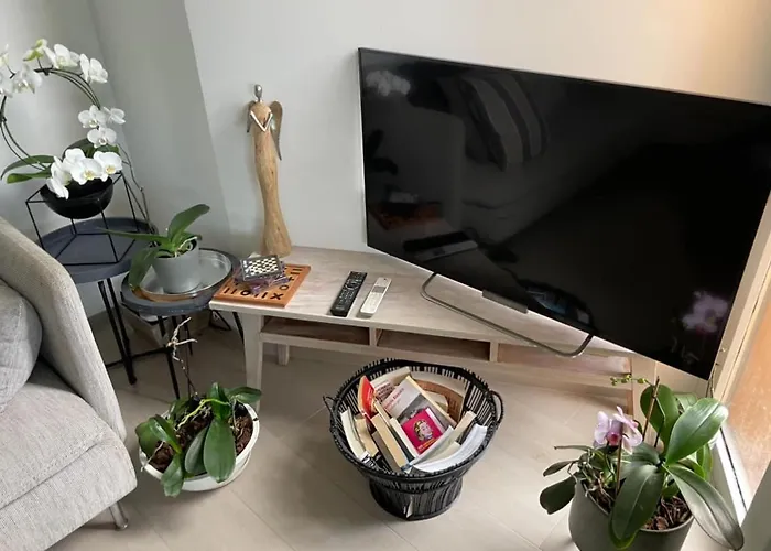 Pully Lakeside Street And Direct Bus To Train Station * Lausanne