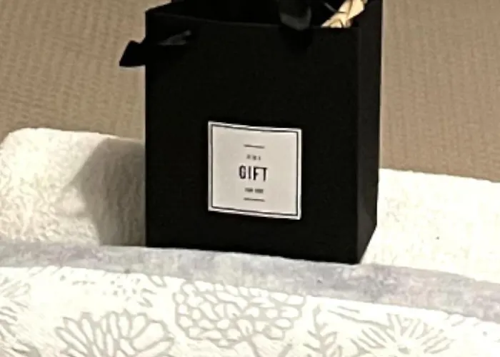 Pully Lakeside Street And Direct Bus To Train Station * Losanna